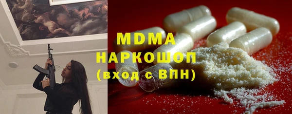 молекула духа Богданович