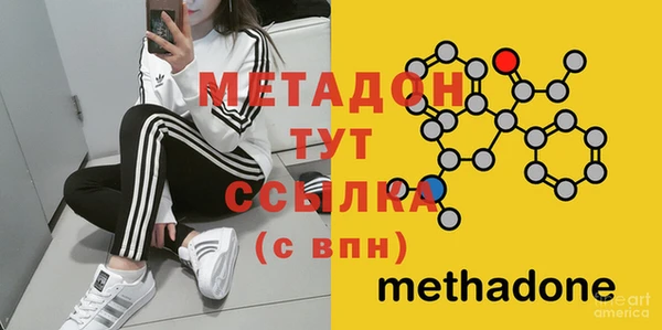 молекула духа Богданович