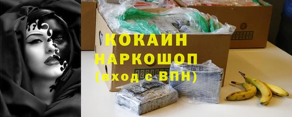 молекула духа Богданович