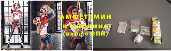молекула духа Богданович