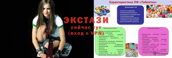 молекула духа Богданович