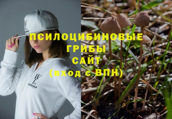 ALPHA-PVP Богородицк