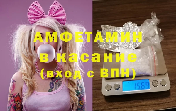 молекула духа Богданович