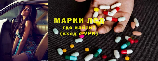 молекула духа Богданович