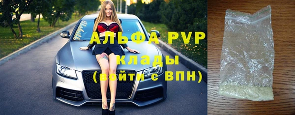 молекула духа Богданович