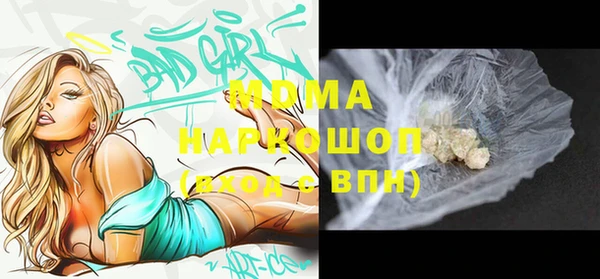 молекула духа Богданович