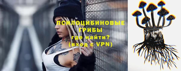 хмурый Богородск