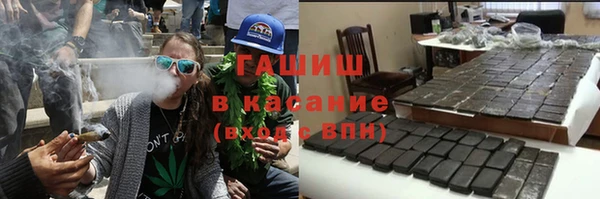 молекула духа Богданович
